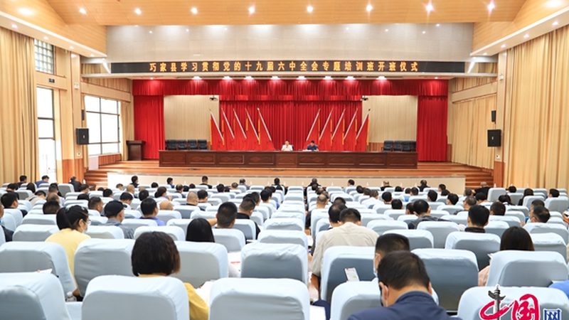 教师证面试，如何选择优质培训品牌？**